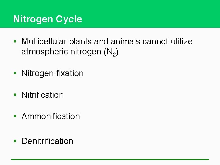 Nitrogen Cycle § Multicellular plants and animals cannot utilize atmospheric nitrogen (N 2) §