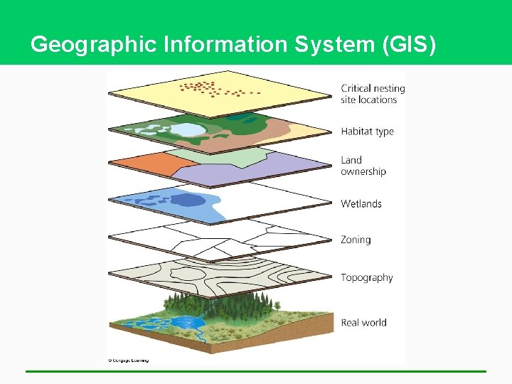 Geographic Information System (GIS) 
