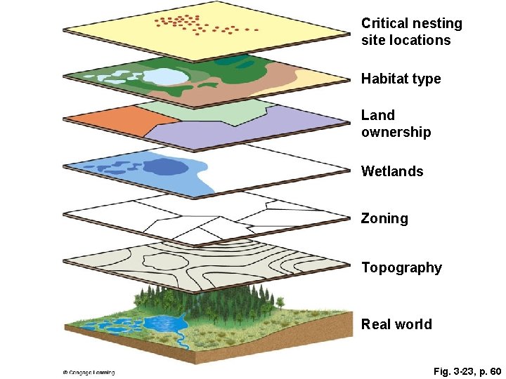 Critical nesting site locations Habitat type Land ownership Wetlands Zoning Topography Real world Fig.