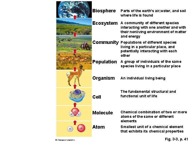 Biosphere Parts of the earth's air, water, and soil where life is found Ecosystem