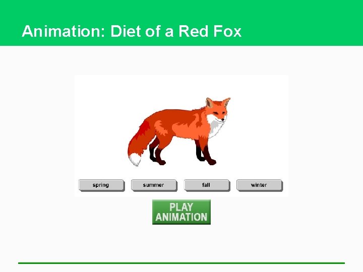 Animation: Diet of a Red Fox 
