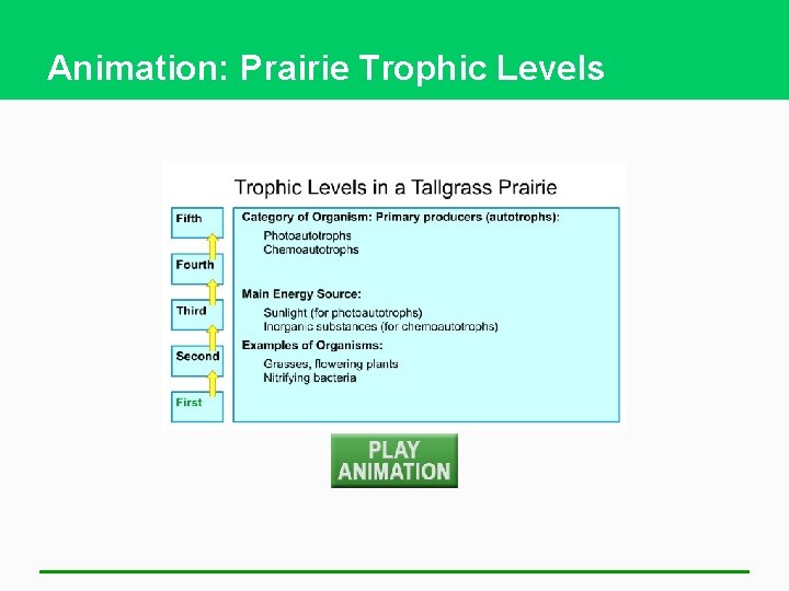 Animation: Prairie Trophic Levels 