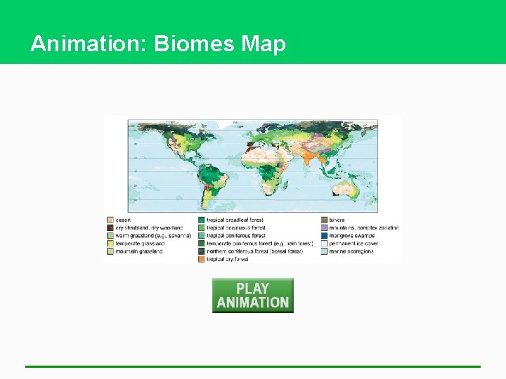 Animation: Biomes Map 