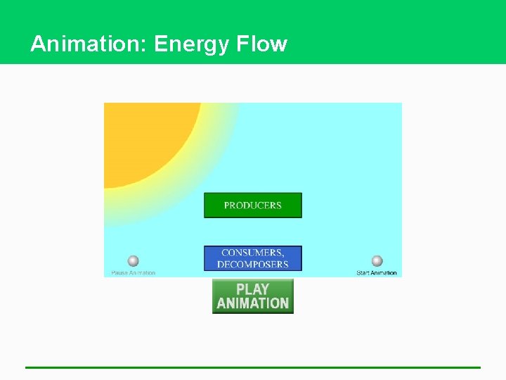 Animation: Energy Flow 