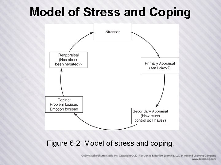 Model of Stress and Coping Figure 6 -2: Model of stress and coping. 