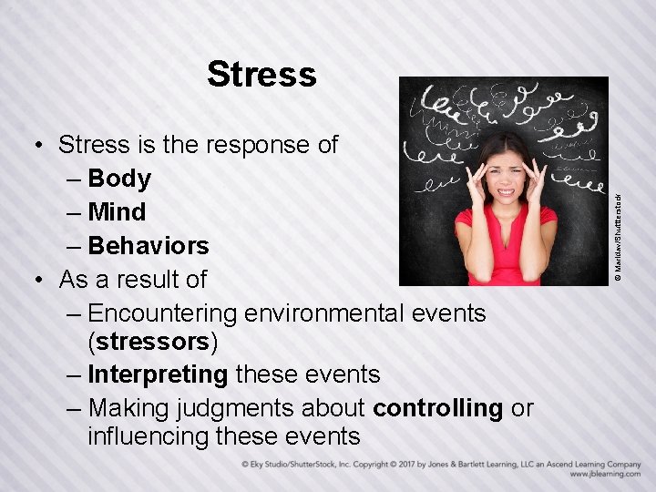  • Stress is the response of – Body – Mind – Behaviors •