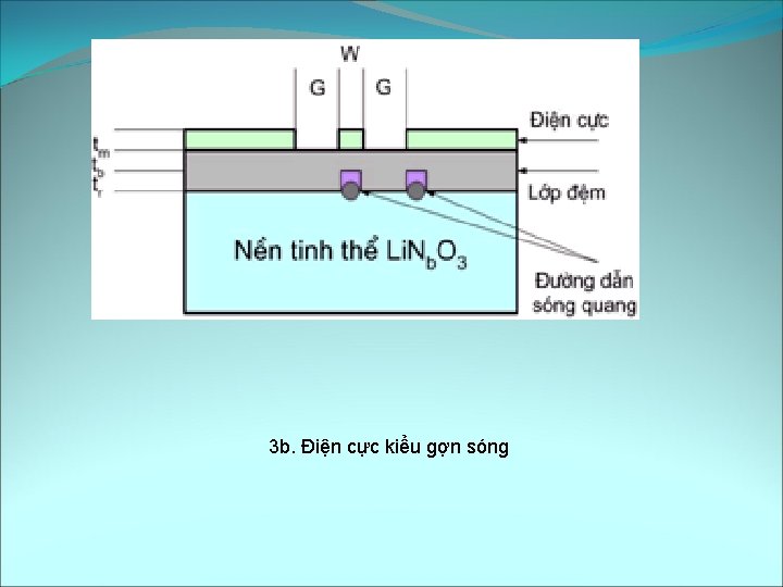 3 b. Điện cực kiểu gợn sóng 