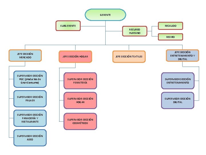 GERENTE SUBGERENTE RECAUDO RECURSO HUMANO RECIBO JEFE SECCIÓN MERCADO SUPERVISOR SECCIÓN PGC (productos de