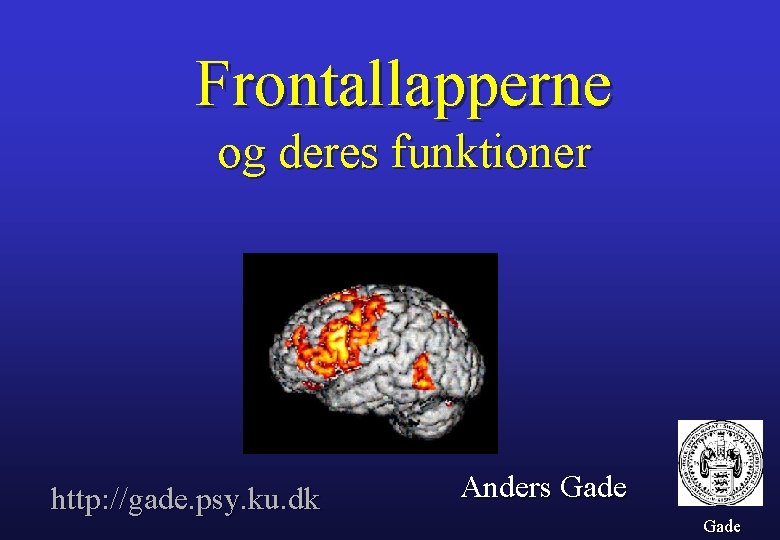 Frontallapperne og deres funktioner http: //gade. psy. ku. dk Anders Gade 