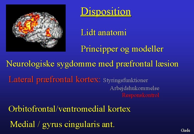 Disposition Lidt anatomi Principper og modeller Neurologiske sygdomme med præfrontal læsion Lateral præfrontal kortex: