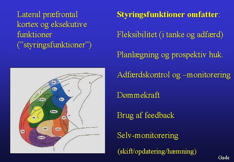 Lateral præfrontal kortex og eksekutive funktioner (”styringsfunktioner”) Styringsfunktioner omfatter: Fleksibilitet (i tanke og adfærd)