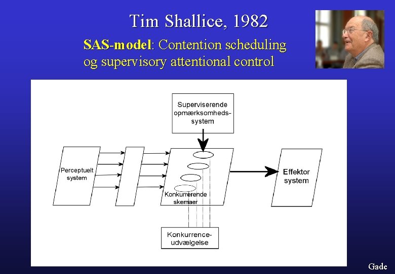 Tim Shallice, 1982 SAS-model: Contention scheduling og supervisory attentional control Gade 