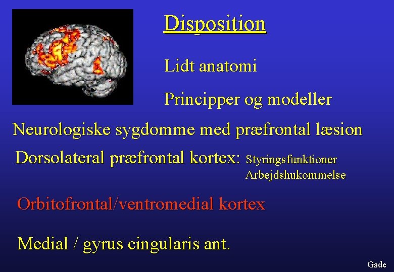 Disposition Lidt anatomi Principper og modeller Neurologiske sygdomme med præfrontal læsion Dorsolateral præfrontal kortex: