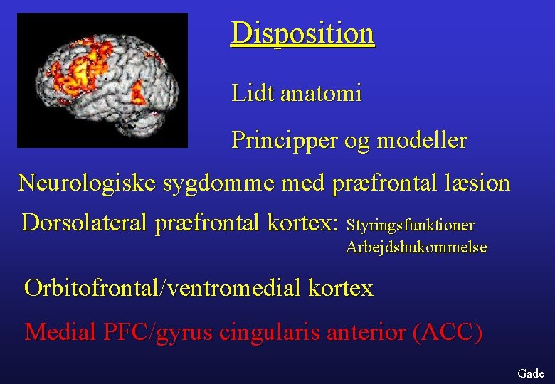 Disposition Lidt anatomi Principper og modeller Neurologiske sygdomme med præfrontal læsion Dorsolateral præfrontal kortex: