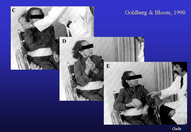 Goldberg & Bloom, 1990 Gade 