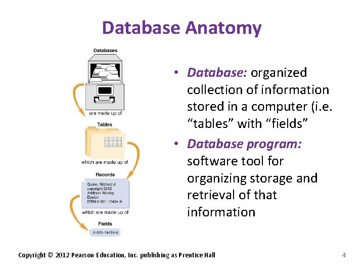 Database Anatomy • Database: organized collection of information stored in a computer (i. e. Database Anatomy • Database: organized collection of information stored in a computer (i. e.