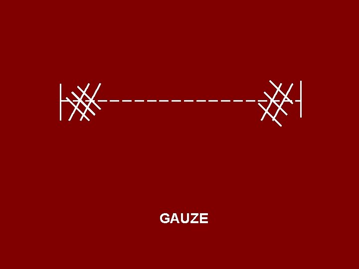 GAUZE 