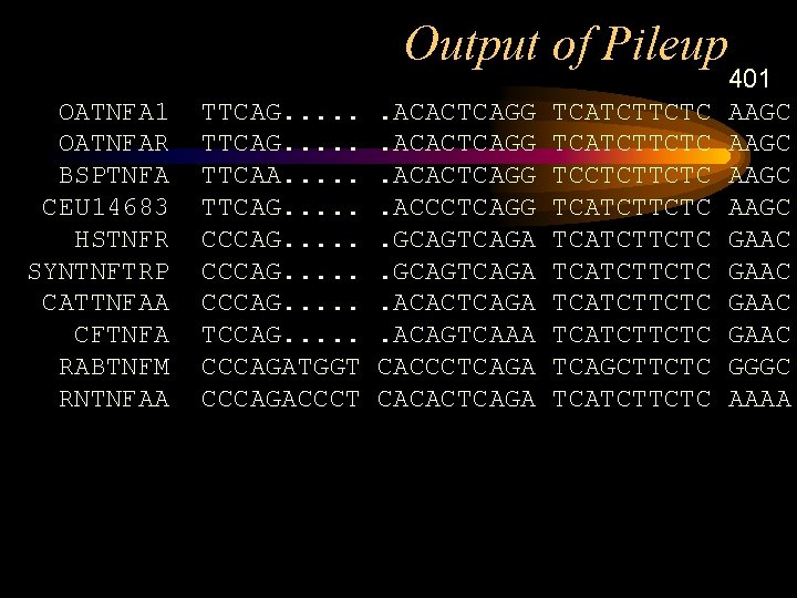 Output of Pileup OATNFA 1 OATNFAR BSPTNFA CEU 14683 HSTNFR SYNTNFTRP CATTNFAA CFTNFA RABTNFM