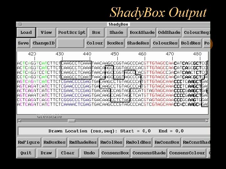 Shady. Box Output 