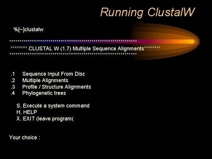 Running Clustal. W %[~]clustalw ******************************* CLUSTAL W (1. 7) Multiple Sequence Alignments*******************************. 1. 2.