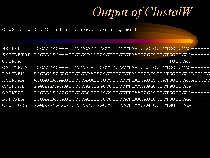 Output of Clustal. W CLUSTAL W (1. 7) multiple sequence alignment HSTNFR SYNTNFTRP CFTNFA