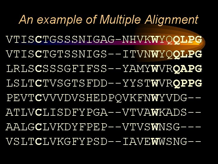 An example of Multiple Alignment VTISCTGSSSNIGAG-NHVKWYQQLPG VTISCTGTSSNIGS--ITVNWYQQLPG LRLSCSSSGFIFSS--YAMYWVRQAPG LSLTCTVSGTSFDD--YYSTWVRQPPG PEVTCVVVDVSHEDPQVKFNWYVDG-ATLVCLISDFYPGA--VTVAWKADS-AALGCLVKDYFPEP--VTVSWNSG--VSLTCLVKGFYPSD--IAVEWWSNG-- 