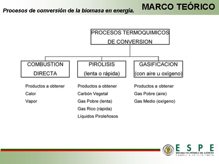 Procesos de conversión de la biomasa en energía. MARCO TEÓRICO 