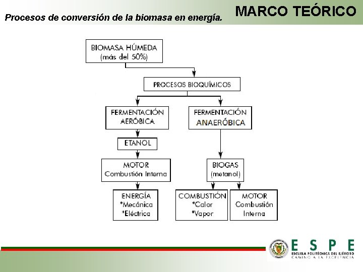 Procesos de conversión de la biomasa en energía. MARCO TEÓRICO 