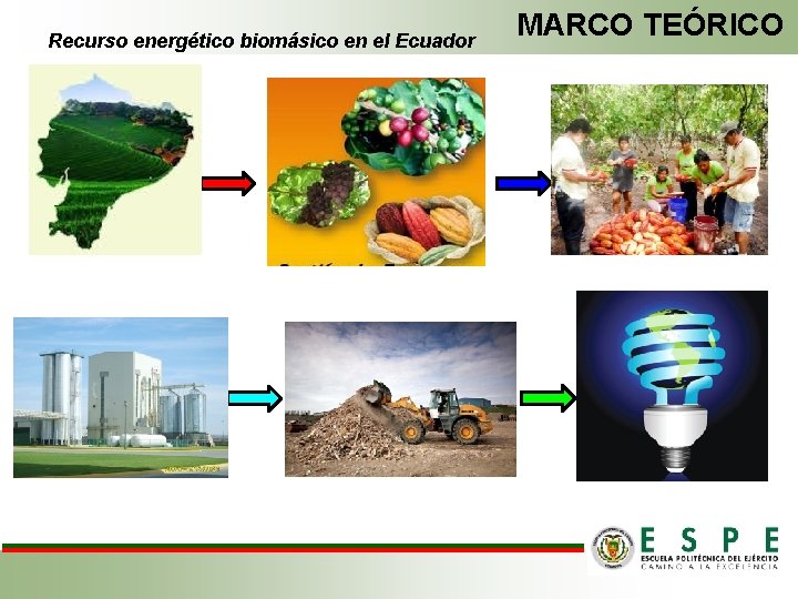 Recurso energético biomásico en el Ecuador MARCO TEÓRICO 