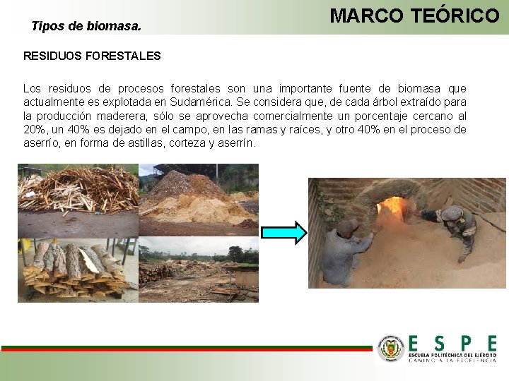 Tipos de biomasa. MARCO TEÓRICO RESIDUOS FORESTALES Los residuos de procesos forestales son una Tipos de biomasa. MARCO TEÓRICO RESIDUOS FORESTALES Los residuos de procesos forestales son una