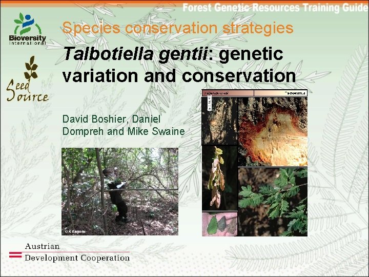 Species conservation strategies Talbotiella gentii: genetic variation and conservation David Boshier, Daniel Dompreh and