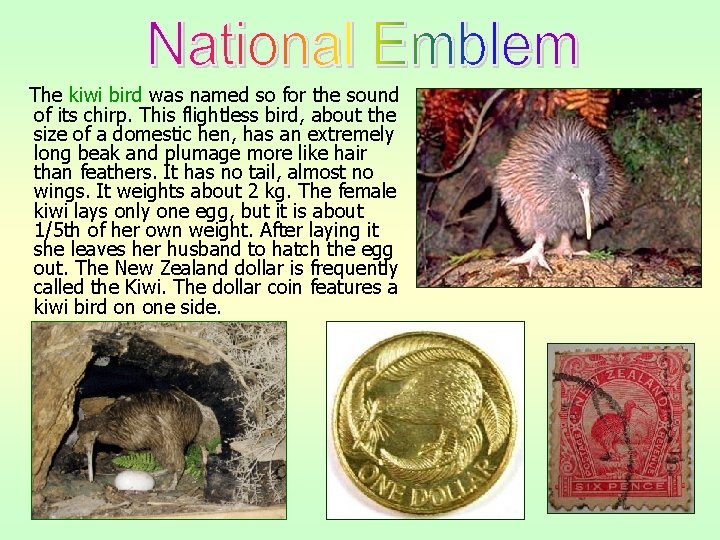 The kiwi bird was named so for the sound of its chirp. This flightless