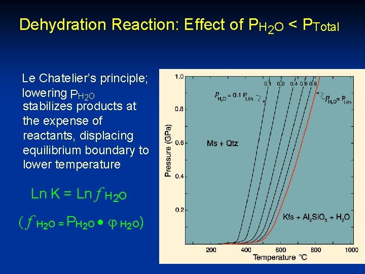 Dehydration Reaction: Effect of PH 2 O < PTotal Le Chatelier’s principle; lowering PH