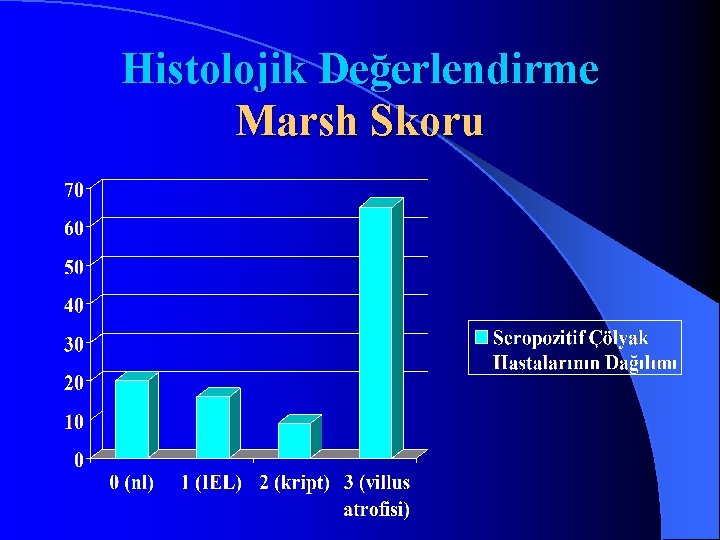 Histolojik Değerlendirme Marsh Skoru 