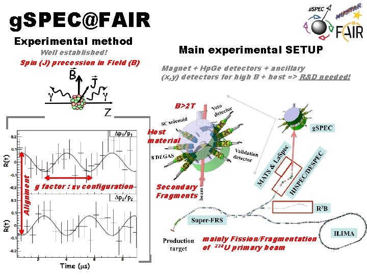 g. SPEC@FAIR Experimental method Well established! Spin (J) precession in Field (B) Main experimental