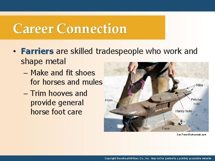 Career Connection • Farriers are skilled tradespeople who work and shape metal – Make
