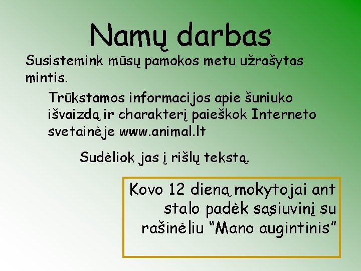 Namų darbas Susistemink mūsų pamokos metu užrašytas mintis. Trūkstamos informacijos apie šuniuko išvaizdą ir