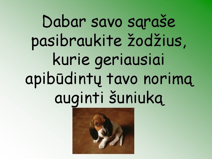 Dabar savo sąraše pasibraukite žodžius, kurie geriausiai apibūdintų tavo norimą auginti šuniuką 