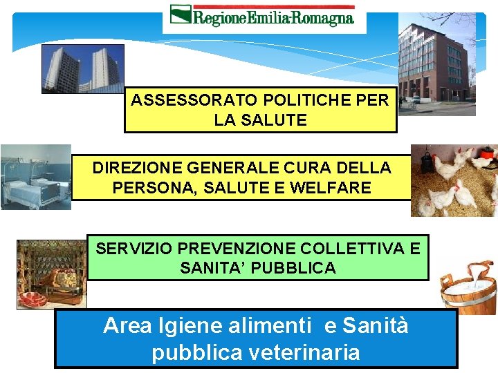 ASSESSORATO POLITICHE PER LA SALUTE DIREZIONE GENERALE CURA DELLA PERSONA, SALUTE E WELFARE SERVIZIO