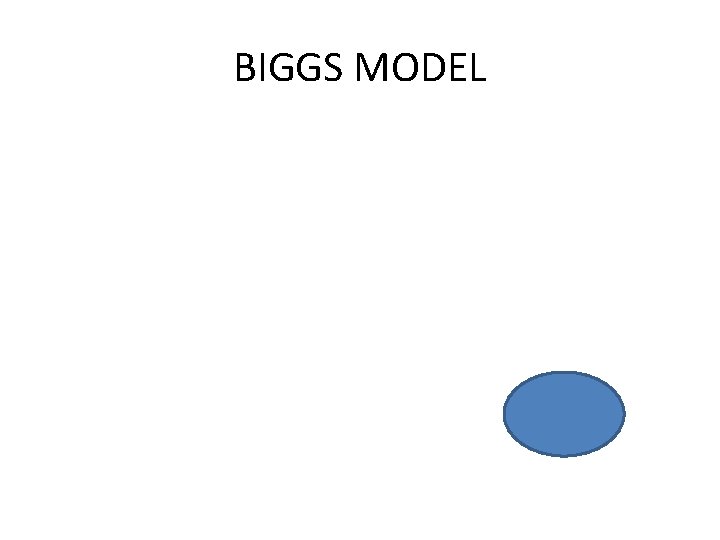 BIGGS MODEL 