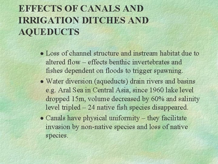 EFFECTS OF CANALS AND IRRIGATION DITCHES AND AQUEDUCTS · Loss of channel structure and
