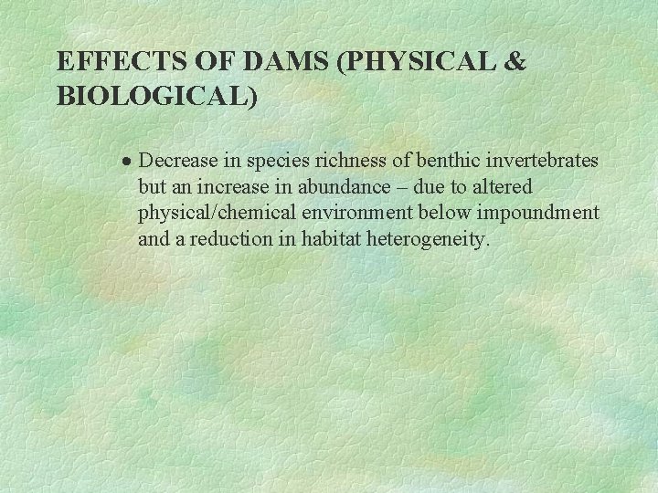 EFFECTS OF DAMS (PHYSICAL & BIOLOGICAL) · Decrease in species richness of benthic invertebrates