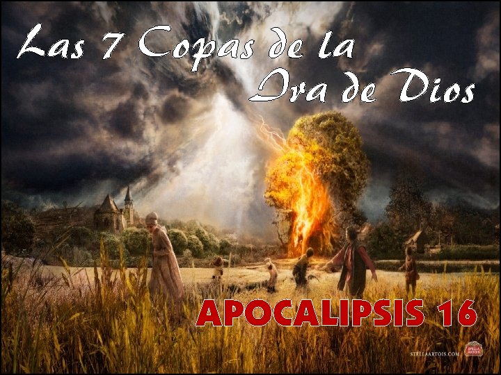 Las 7 Copas de la Ira de Dios APOCALIPSIS 16 Las 7 Copas de la Ira de Dios APOCALIPSIS 16