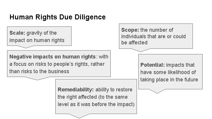 Human Rights Due Diligence Scale: gravity of the impact on human rights Scope: the