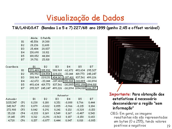 Visualização de Dados TM/LANDSAT (Bandas 1 a 5 e 7) 227/68 ano 1999 (ganho