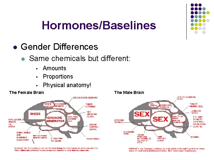 Hormones/Baselines l Gender Differences l Same chemicals but different: § § § Amounts Proportions Hormones/Baselines l Gender Differences l Same chemicals but different: § § § Amounts Proportions