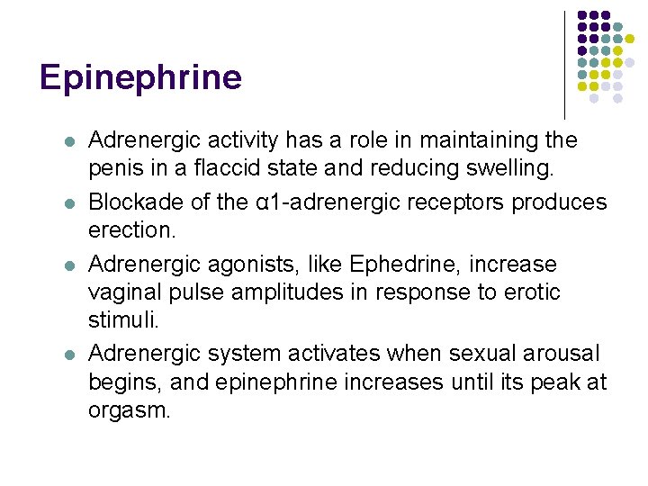Epinephrine l l Adrenergic activity has a role in maintaining the penis in a Epinephrine l l Adrenergic activity has a role in maintaining the penis in a