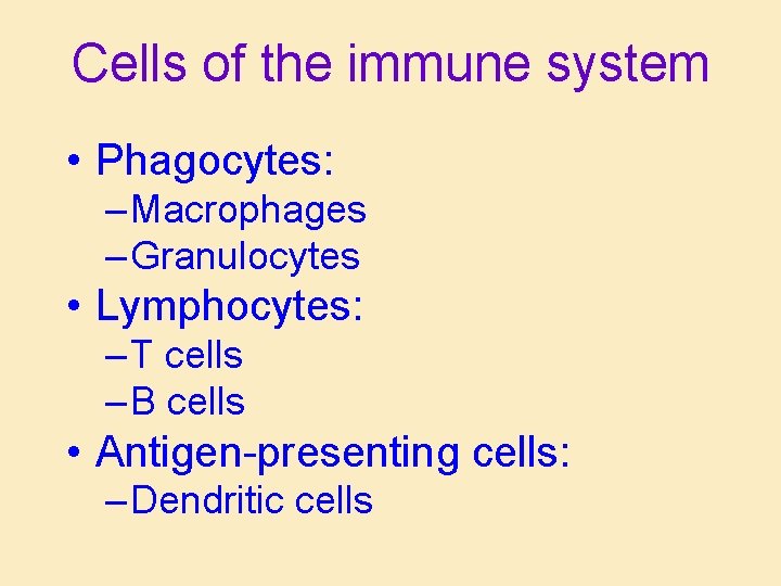 Cells of the immune system • Phagocytes: – Macrophages – Granulocytes • Lymphocytes: – Cells of the immune system • Phagocytes: – Macrophages – Granulocytes • Lymphocytes: –