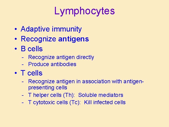 Lymphocytes • Adaptive immunity • Recognize antigens • B cells - Recognize antigen directly Lymphocytes • Adaptive immunity • Recognize antigens • B cells - Recognize antigen directly