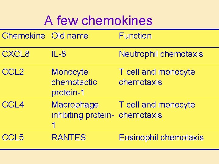 A few chemokines Chemokine Old name Function CXCL 8 IL-8 Neutrophil chemotaxis CCL 2 A few chemokines Chemokine Old name Function CXCL 8 IL-8 Neutrophil chemotaxis CCL 2